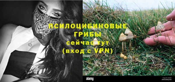 не бодяженный Алексин