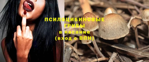 прущие крисы Алексеевка