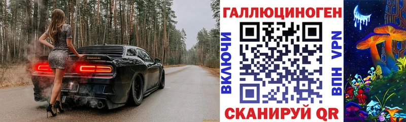 mega рабочий сайт  купить наркотик  Чердынь  Псилоцибиновые грибы Psilocybe 